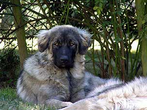 Divna 10 months