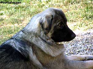Divna 10 months