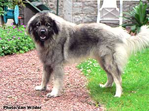 Drasko 2 years