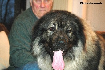 Drasko 3 years