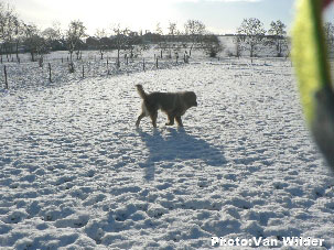 Drasko 6 years