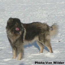 Drasko 6 years