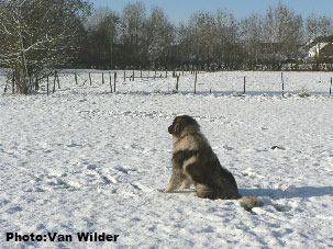 Drasko 6 years
