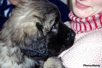 Duci 9 weeks