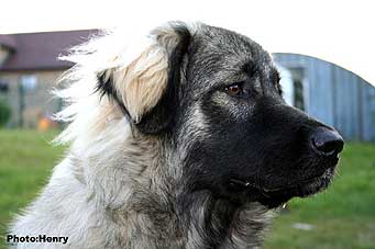 Duci 8 months