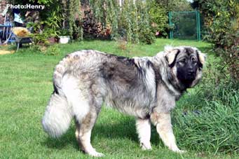 Duci 9,5 months