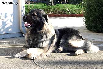 Duci 2 years