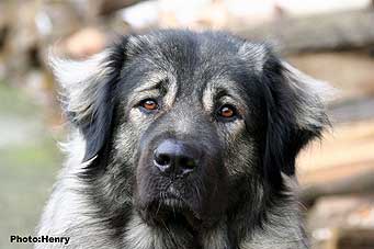 Duci 2 years