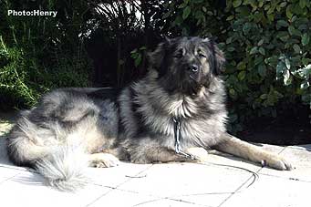 Duci 2,5 years