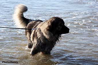 Duci 2,5 years