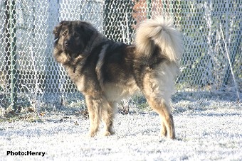Duci 3 years