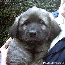 Duska 2 months