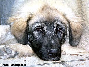Duska 5 months