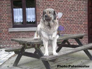 Duska 4,5 ans