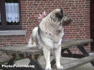 Duska 4,5 ans