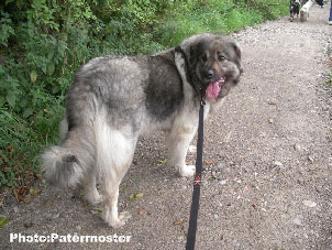 Duska 4,5 ans