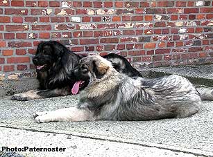 Duska 8 months