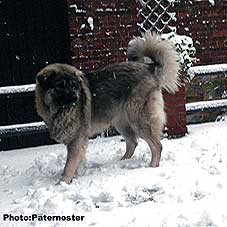 Duska 11,5 months