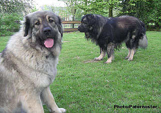 Duska 16 months