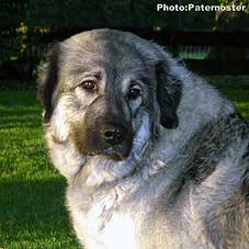 Duska 23 months