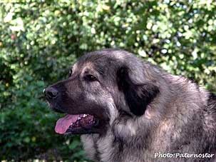 Duska 2,5 years