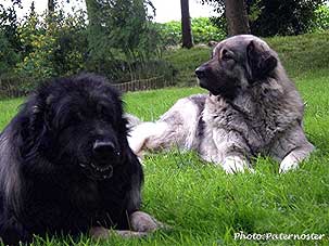 Duska 2,5 years