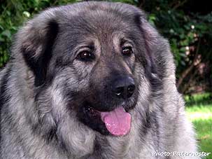Duska 2,5 years