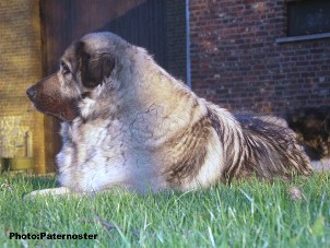 Duska 3 years