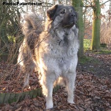 Duska 3 years