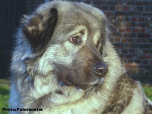 Duska 3 years