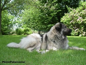 Duska 3 years