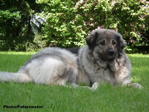 Duska 3 years