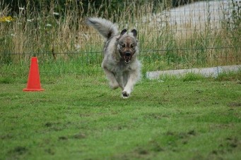 Duska 3 years