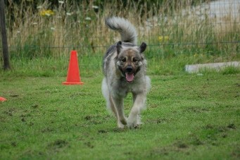 Duska 3 years