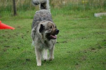 Duska 3 years