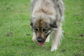 Duska 3 years