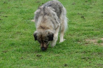 Duska 3 years
