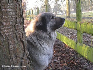 Duska 4 ans