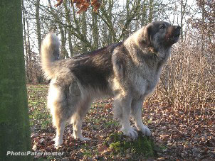 Duska 4 ans