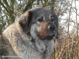 Duska 4 ans