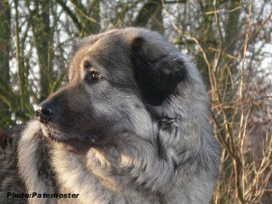 Duska 4 ans