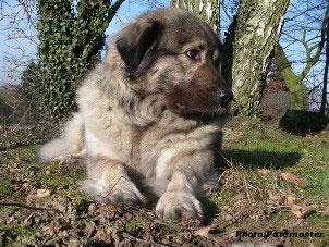 Duska 4 ans