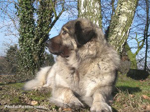 Duska 4 ans