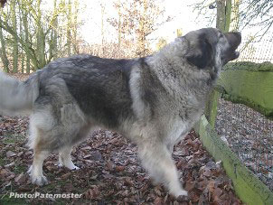Duska 4 ans