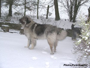 Duska 4 ans