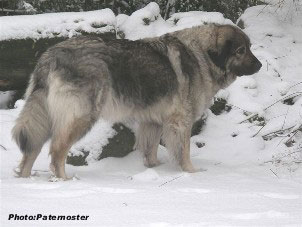 Duska 4 ans