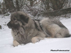 Duska 4 ans