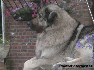 Duska 4,5 ans