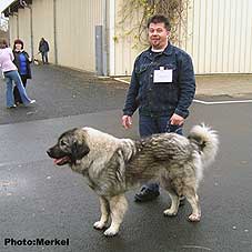 Emina 18 months