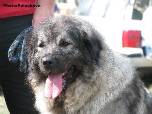 Emina 3 years